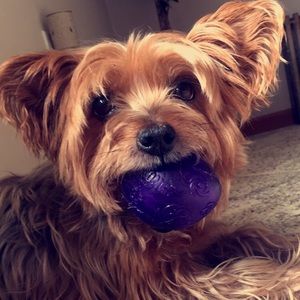 Meet your Posher, Brianna